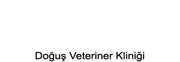biVet